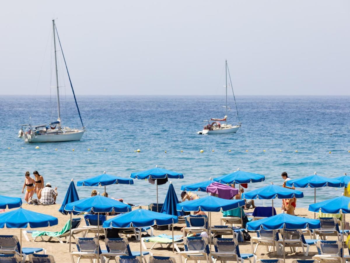 Live Cristianos Playeros Close To The Apartment Arona (Tenerife)
